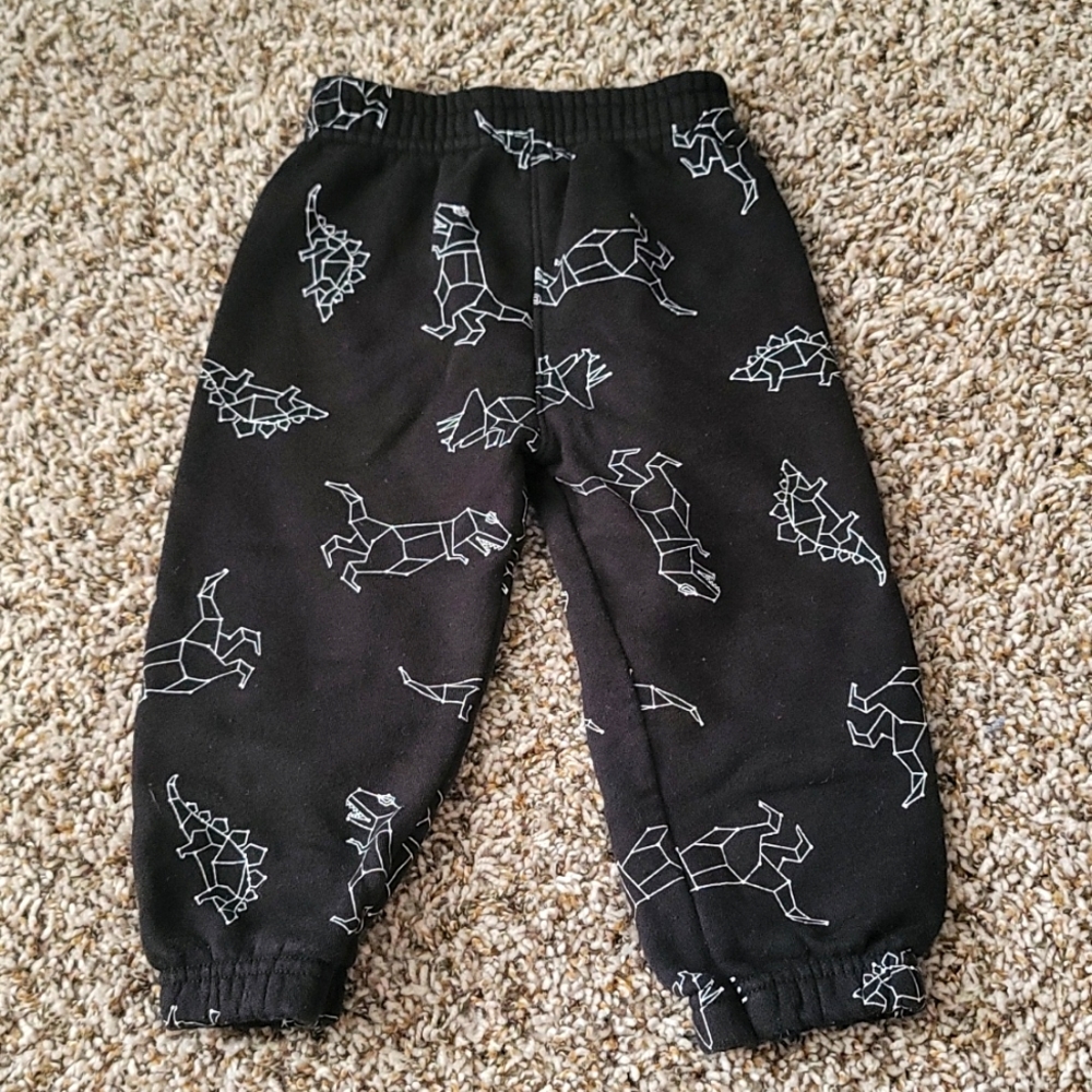 Zodiac Dinosaur Sweat Pants!